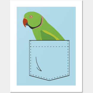 Indian Ringneck Parakeet Parrot Male Front Pocket Posters and Art